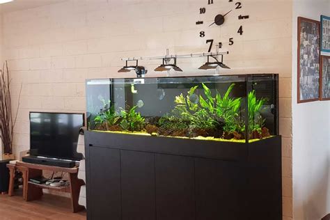 ada fish tank for sale.